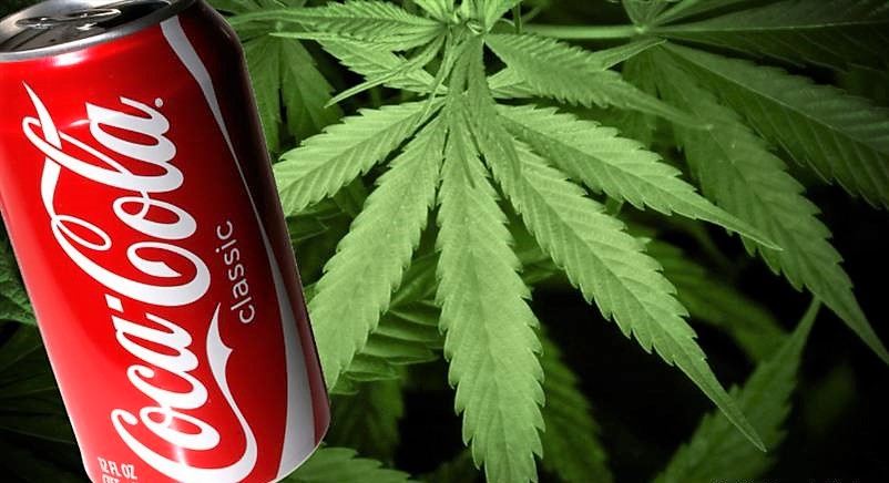 Coke & Cannabis Together? Could Be Very Profitable