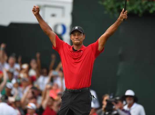 Welcome Back Tiger!