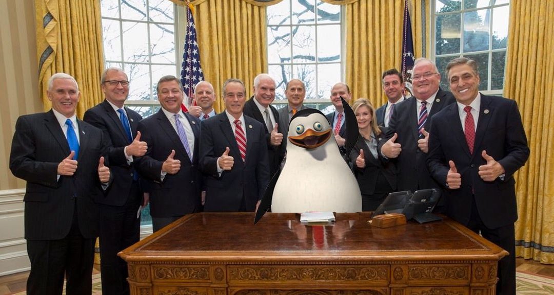 Trump Is Being Replaced On Twitter By Penguins