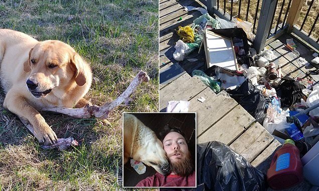 Man Claims Black Bear Is BRIBING His “Idiot” Dog To Look The Other Way While It Raids Trash