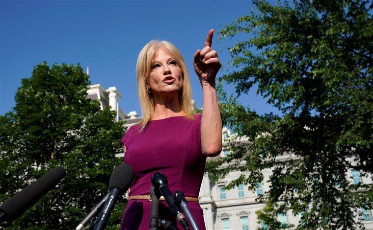 Kellyanne Conway Has Coronavirus – Trump Team & GOP Whacked By Pandemic