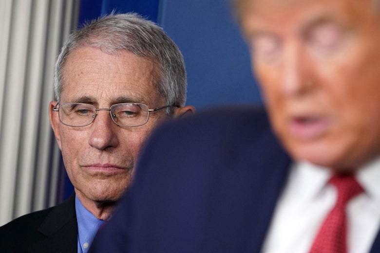 Trump Lashes Out At Fauci – Says Coronavirus Has “Very Little Impact On Young People”