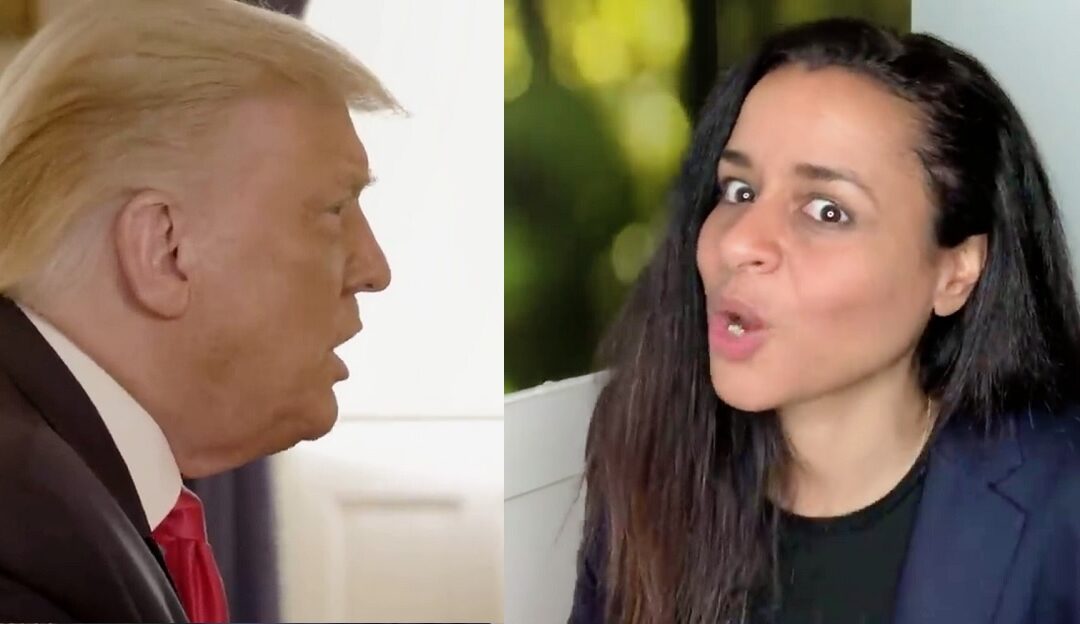 Is Sarah Cooper The Reason Donald Trump Wants To Ban TikTok?