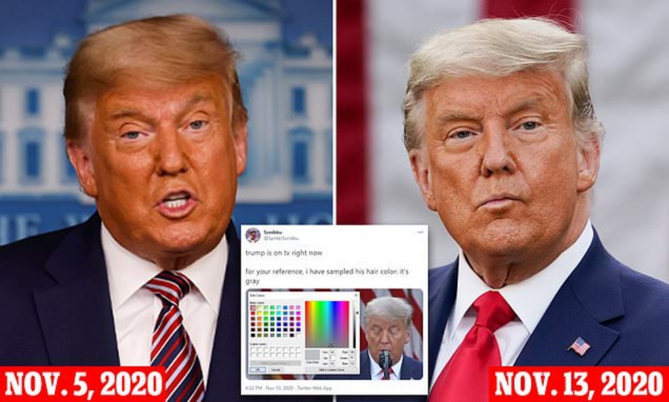 Trump’s Election Loss Turns His Hair Gray Overnight – Social Media Responds