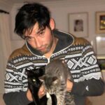 From Cat Hater To Lover, Tom Ellis Auctions Off Zoom Call For His Feline Friends