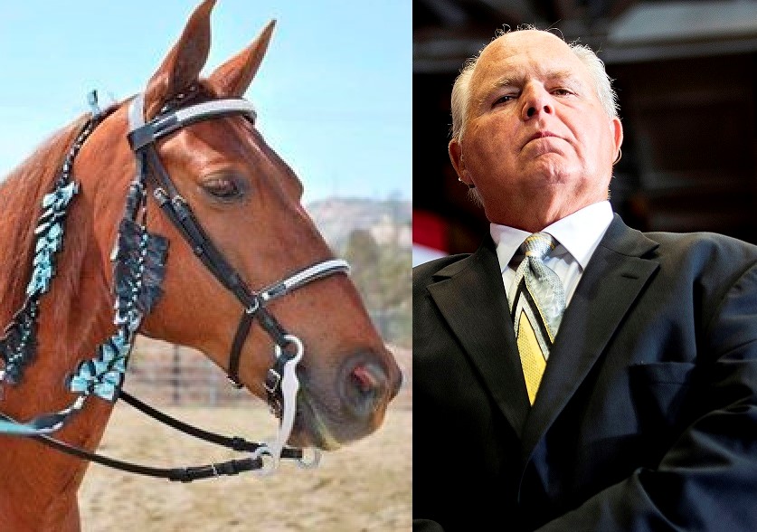 Missouri GOP Lawmakers Add ‘Rush Limbaugh Day’ To ‘Fox Trotter Week’ Bill